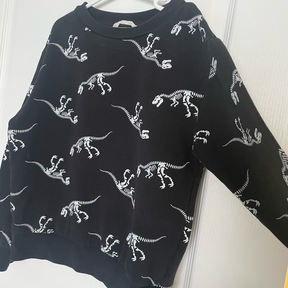 Boy sweatshirt  dinosaur H&M size 6-8 - Picture 5 of 6